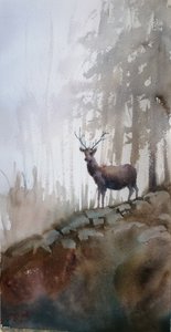 Nebliger Waldhirsch von Giorgio Gosti