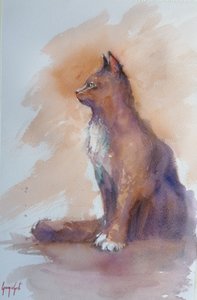 Aufmerksames Katzenprofil von Giorgio Gosti