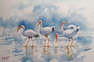 Weißer Ibis Spiegelungen von Giorgio Gosti