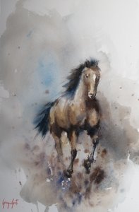 Wilder Pferdegalopp