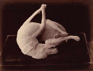 Abdruck, Pompeji von Giorgio Sommer