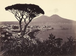 Panorama von Vomero mit Kiefer von Giorgio Sommer