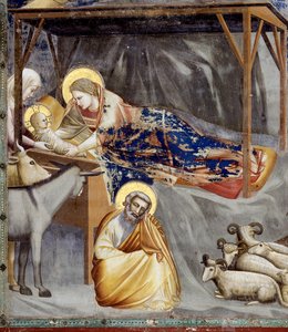 Die Geburt Christi, Detail (Maria und Kind, der Esel und Joseph) von Giotto (c.1266 1337)