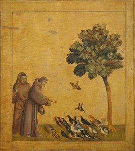Heiliger Franziskus predigt den Vögeln von Giotto di Bondone (style of)