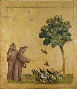 Der Heilige Franziskus predigt zu den Vögeln von Giotto di Bondone