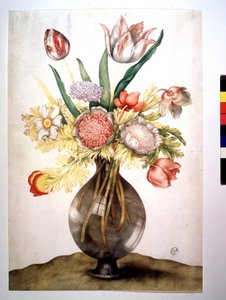 Mohnblumen, Tulpen und Pfingstrose