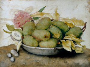 Teller mit Mispeln, Mandeln und einer Rose