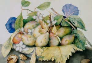 Teller mit Pflaumen, Jasmin und Walnüssen
