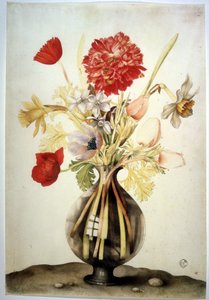 Unbekanntes Bild von Giovanna Garzoni