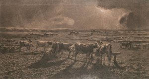 Abend (Weiden, Alla stanga)