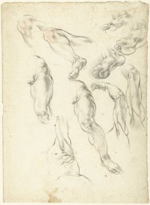 Studienblatt mit Armen und Beinen von Giovanni Alberti