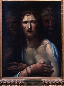 Ecce Homo von Giovanni Antonio Bazzi Sodoma