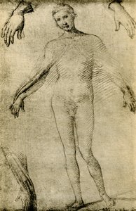 Modellstudie für eine Jungfrau Maria als Mater Misericordiae