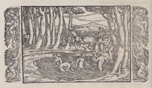 Le Trasformationi von Giovanni Antonio Rusconi