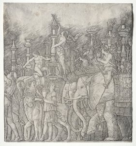 Die Triumphe Caesars: Die Elefanten von Giovanni Antonio da Brescia