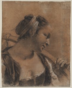 Porträt von Rosa mit einer Schulterstange von Giovanni Battista Piazzetta