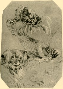 Bologna-Hunde