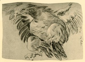 Adler, 1751-1752, 1928