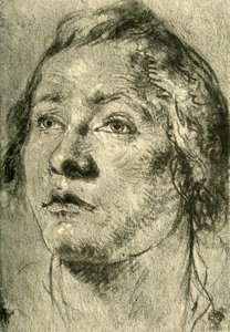 Kopf eines jungen Mannes, Mitte 18. Jahrhundert, 1928