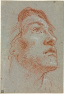 Der Kopf eines jungen Mannes, der nach oben rechts schaut, vor 1752