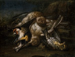 Tote Vögel