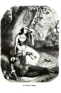 Dekameron - Vierter Tag, Novelle 7 - Das Salbeiblatt von Giovanni Boccaccio