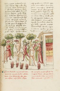 Dekameron, Die junge Gefangene - Restituta Bolgaro und Giari di Procida am Pranger, Fünfter Tag, Novelle 6 von Giovanni Boccaccio