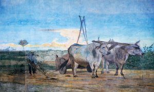Sammlung von Mist, Wagen mit Ochsen