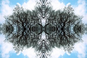 Unnatural 100 von Giovanni Cafagna