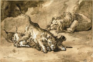 Löwe, Löwin und Junge