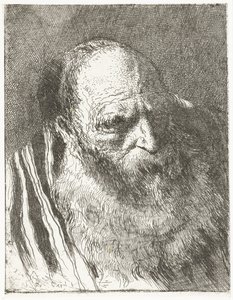 Mann mit Bart in gestreiftem Mantel (Sammlung von Köpfen) von Giovanni Domenico Tiepolo