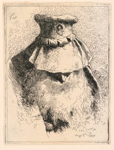Sammlung von Köpfen