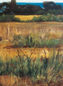 Maremma Toscana, circa 1894 (Detail)