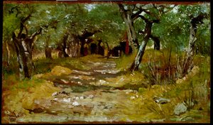 Der Weg zwischen Olivenbäumen von Giovanni Fattori