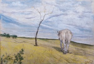 Weißes Pferd von Giovanni Fattori