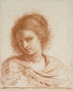 Kopf einer jungen Frau, 1650 - 1666 von Giovanni Francesco Barbieri
