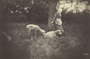 Hirtin, die sich an einen Baum lehnt, mit zwei Schafen, 1870