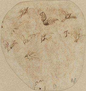 Vögel im Flug [verso]