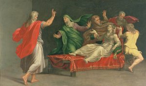Die Auferweckung der Drusiana von Girolamo Mazzola Bedoli