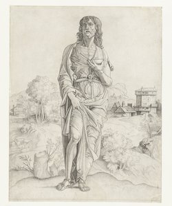 Johannes der Täufer von Giulio Campagnola