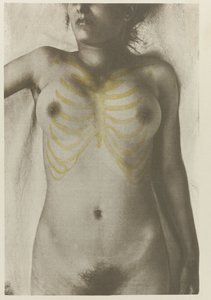 Anatomisches Foto eines weiblichen Leichnams: 