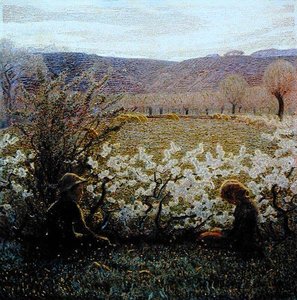 Feld in Blüte (Öl auf Leinwand)