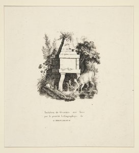 Hirsch trinkt