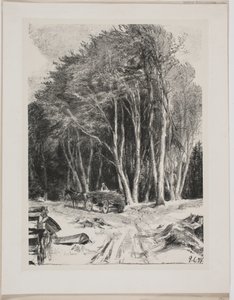 Holzfällerei