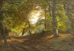 Ein Wald in der Nähe von Schloss Frederiksborg