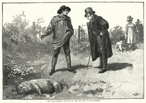 "Ist sie nicht eine Schönheit?" (Gravur) von Gordon Frederick (after) Browne