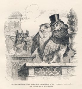 Fledermaus hört einer Eule und einem Uhu beim Singen zu. Vignetten illustriert von JJ Granville. Gravur signiert Breviere im Teil "Erinnerungen einer alten Krähe" geschrieben von PJ Stahl in "Szenen aus dem privaten und öffentlichen Leben der Tiere". Pa