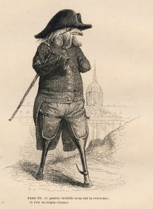Invalider Hahn vor dem Invalidenhotel in Paris. Vignetten illustriert von JJ Granville. Gravur signiert von Andrew, Best und Leloir im Teil "Die Tierärzte" geschrieben von Pierre Bernard in "Szenen aus dem privaten und öffentlichen Leben der Tiere". Paris, von Grandville