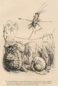 Grille spielt Trompete vor einer Schildkröte, einer Schnecke und Schnecken. Über ihm balanciert eine andere Grille auf einem Faden. Vignetten illustriert von JJ Granville. Gravur signiert Godard in dem Teil "Die Abenteuer eines Schmetterlings" von Grandville