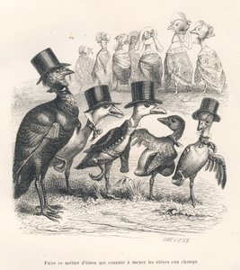 Beruf eines Gänsehirten, der die Schüler auf die Felder bringt. Die Gänse entfernen sich von ihrem Kind. Vignetten illustriert von JJ Granville. Gravur signiert von Breviere im Teil "Esel-Führer für Tiere, die zu Ehren kommen wollen" geschrieben von...